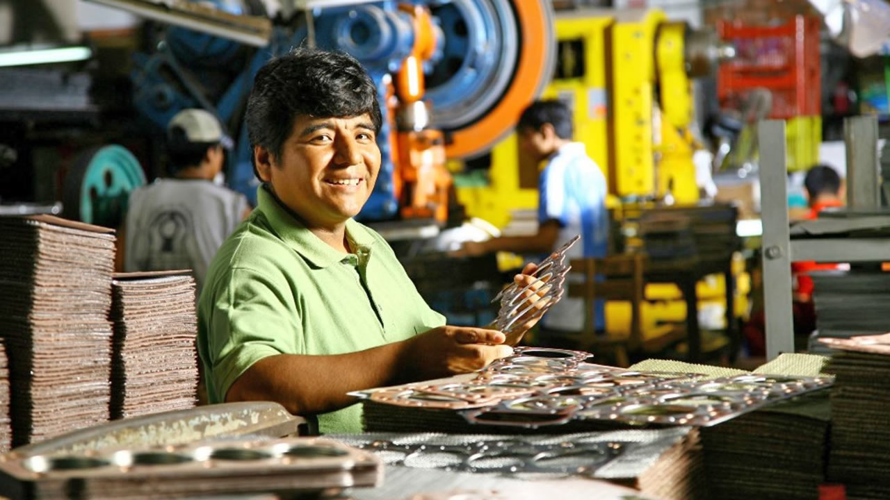 Markel, Fabricantes e Importadores